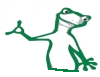 Image of a cartoon chameleon named KiiWii